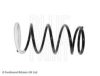 BLUE PRINT ADC488364 Coil Spring